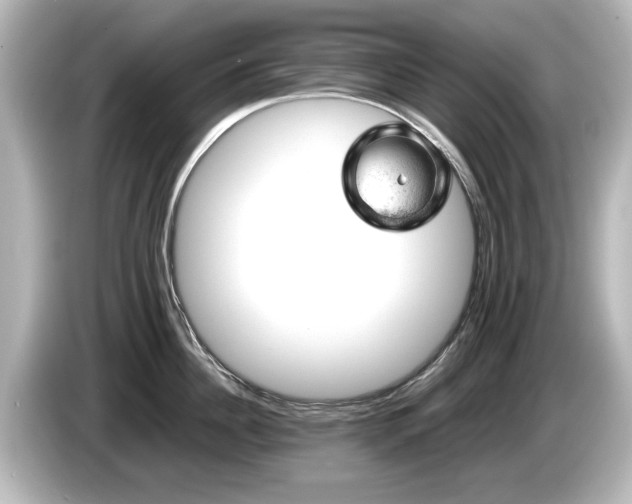 X0000085740956200703161025