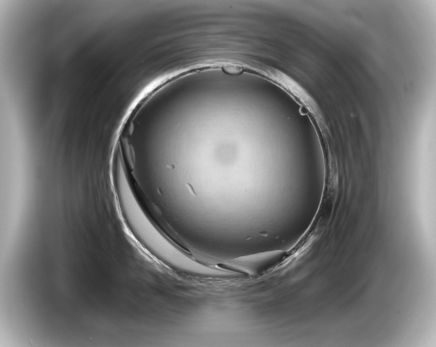 X0000085740958200703161025