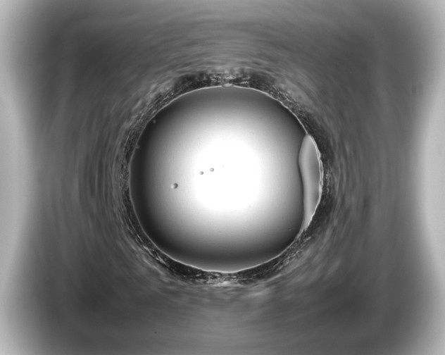 X0000085740961200703161024