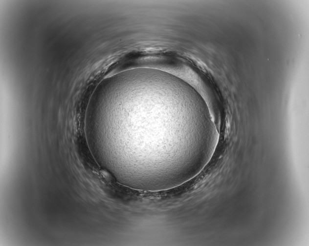 X0000085740965200703161024