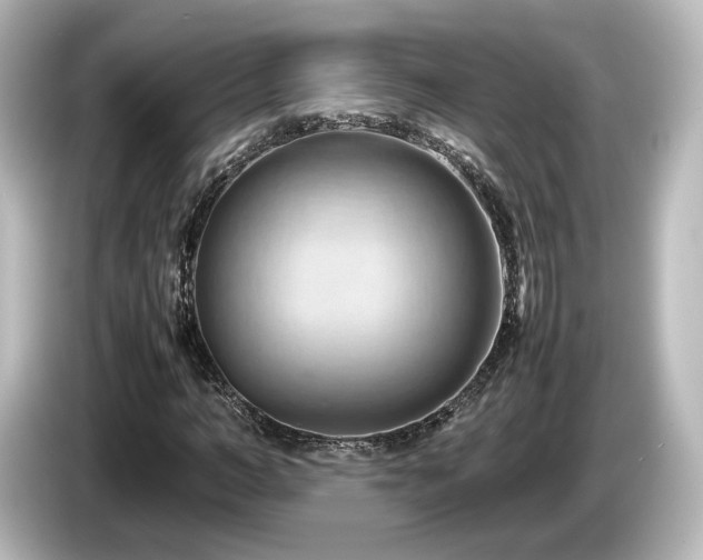 X0000085740966200703161024