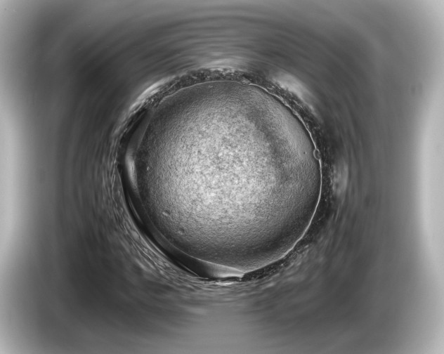 X0000085740968200703161024