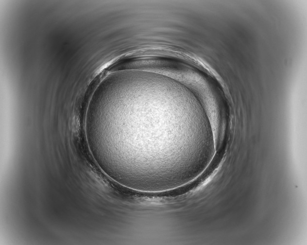X0000085740969200703161024