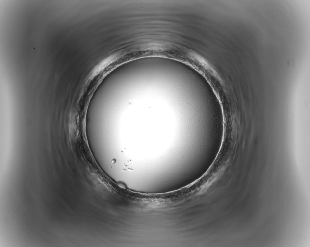 X0000085740970200703161024