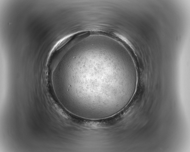 X0000085740971200703161024