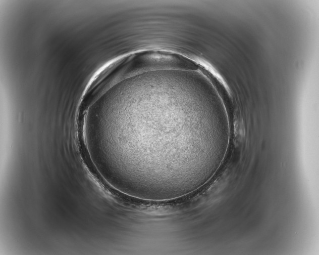 X0000085740972200703161024
