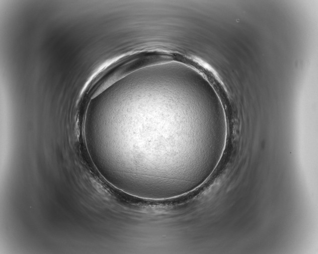 X0000085740973200703161024