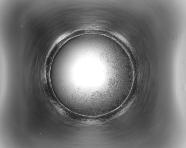 X0000085740974200703161024