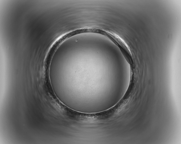 X0000085740975200703161024
