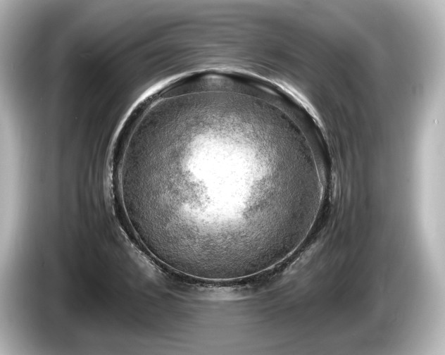 X0000085740976200703161024