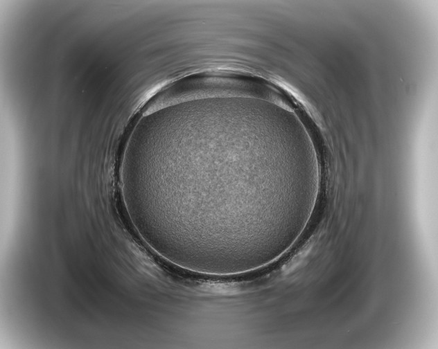 X0000085740977200703161024