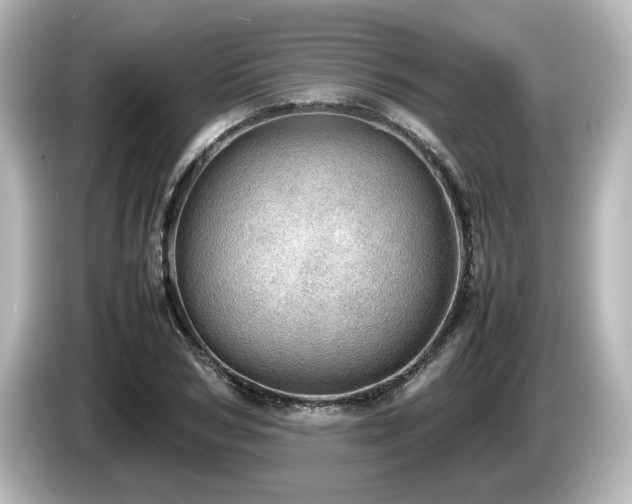X0000085740978200703161024