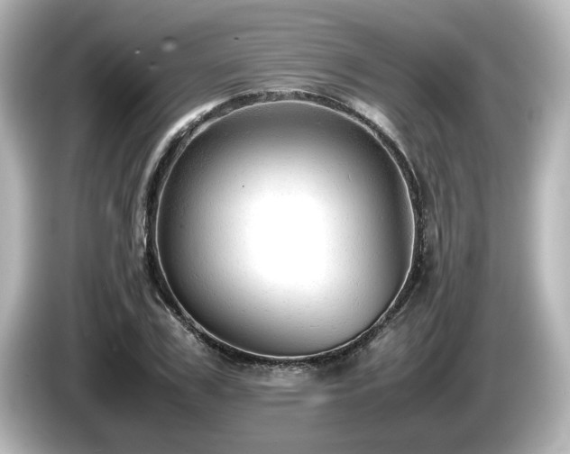 X0000085740979200703161024