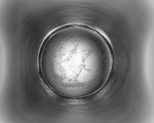 X0000085740980200703161024
