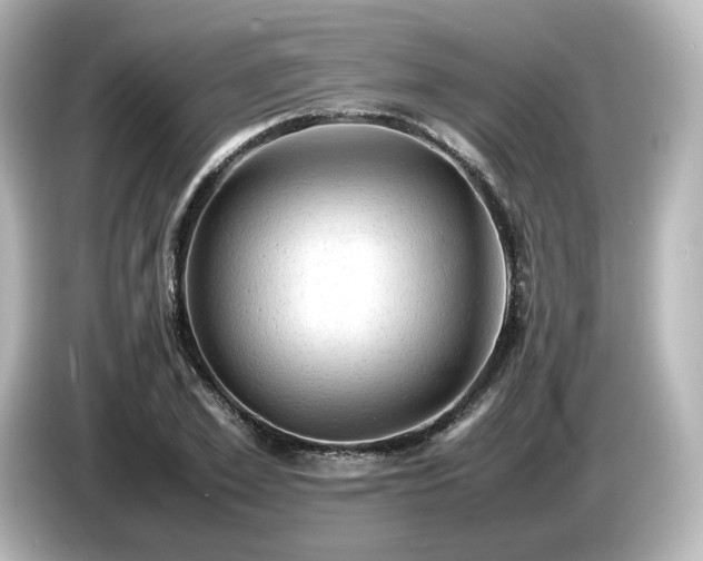 X0000085740981200703161024