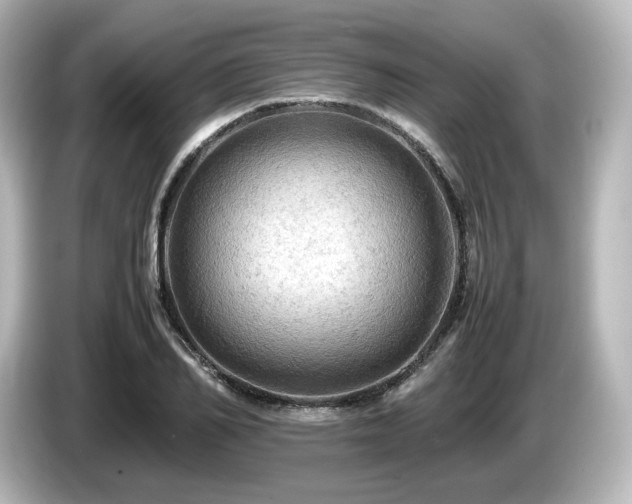 X0000085740982200703161024
