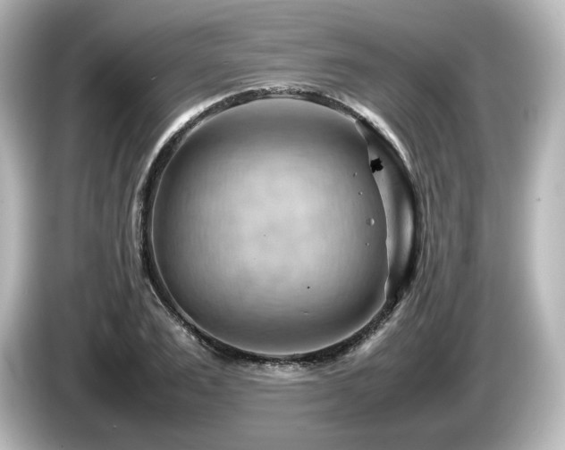 X0000085740983200703161024