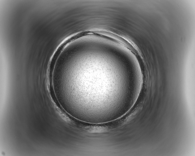 X0000085740984200703161024
