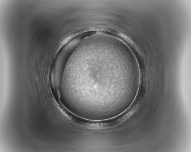 X0000085740985200703161024