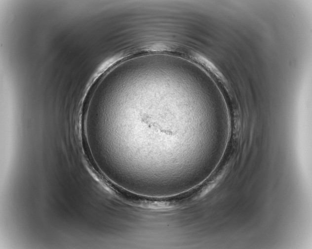 X0000085740986200703161024