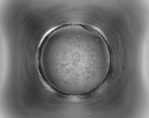 X0000085740987200703161024