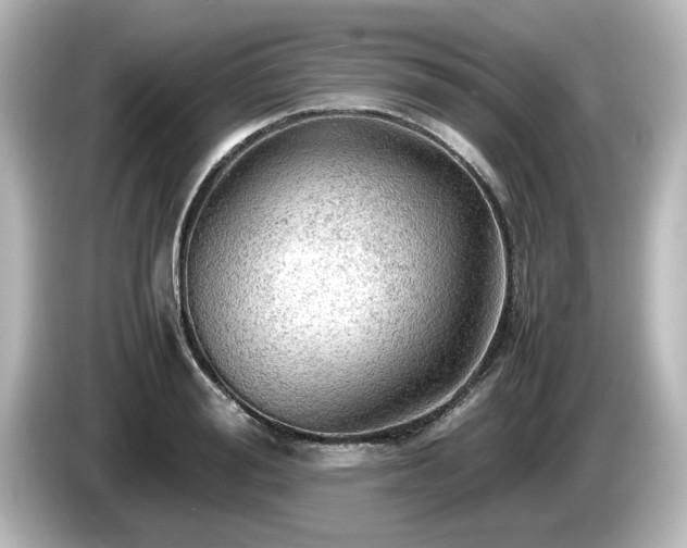 X0000085740988200703161024