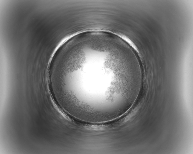 X0000085740989200703161024
