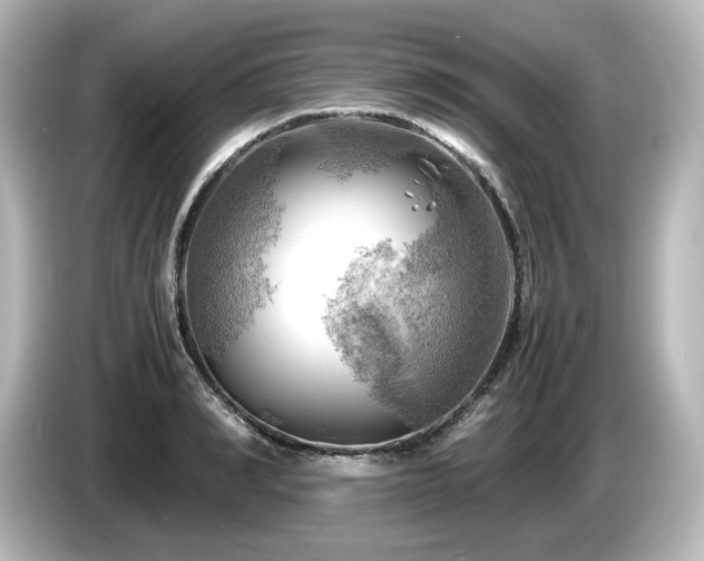 X0000085740990200703161024