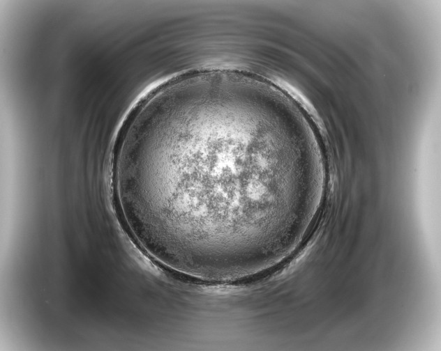 X0000085740992200703161024