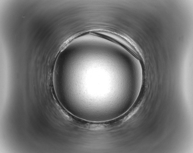 X0000085740993200703161024