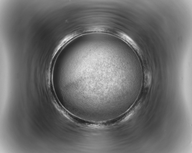 X0000085740994200703161024