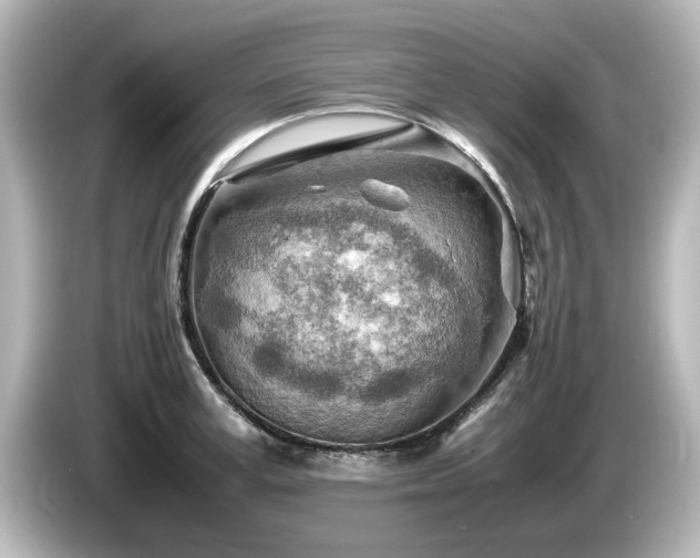 X0000085740995200703161024