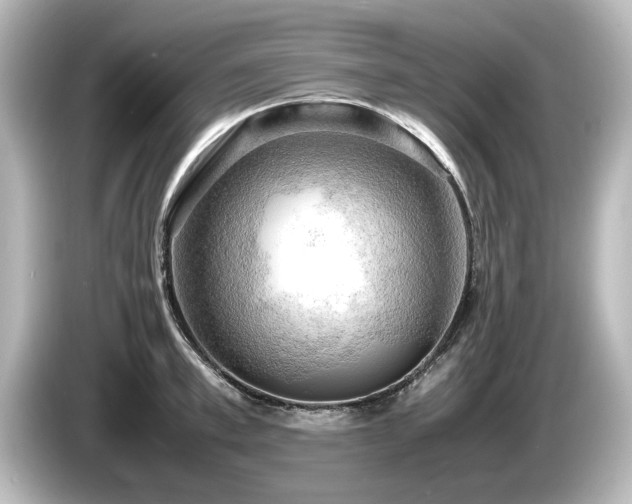 X0000085740997200703161024