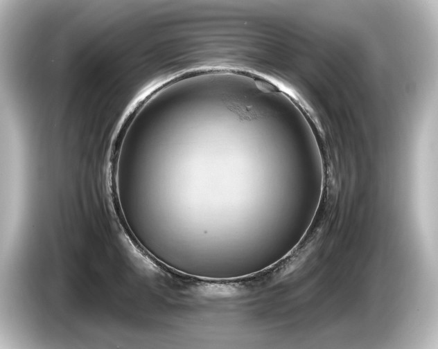 X0000085740998200703161024