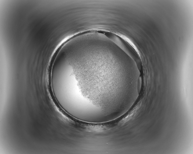 X0000085740999200703161024