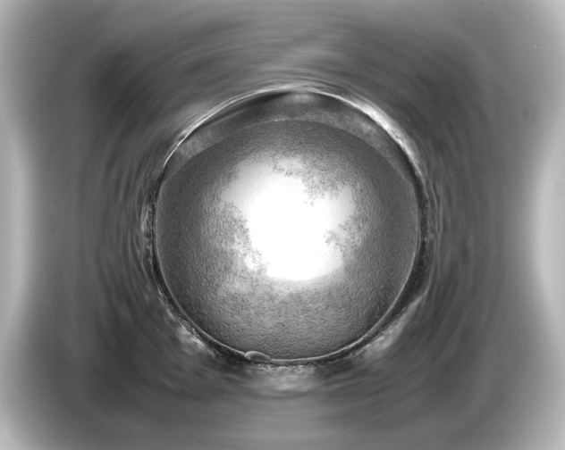 X0000085741001200703161024