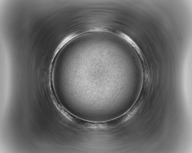 X0000085741002200703161024