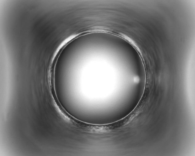 X0000085741003200703161024