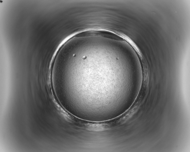X0000085741004200703161024