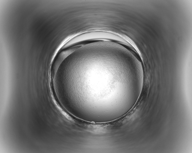 X0000085741005200703161024