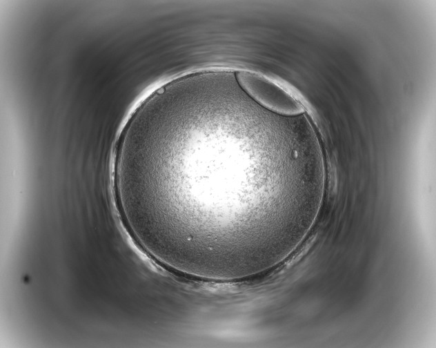 X0000085741006200703161024