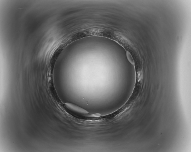 X0000085741011200703161023