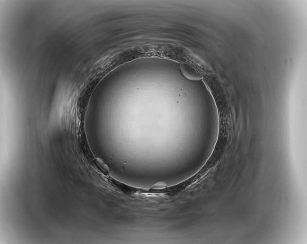 X0000085741013200703161023