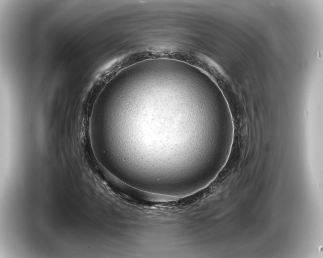 X0000085741016200703161023