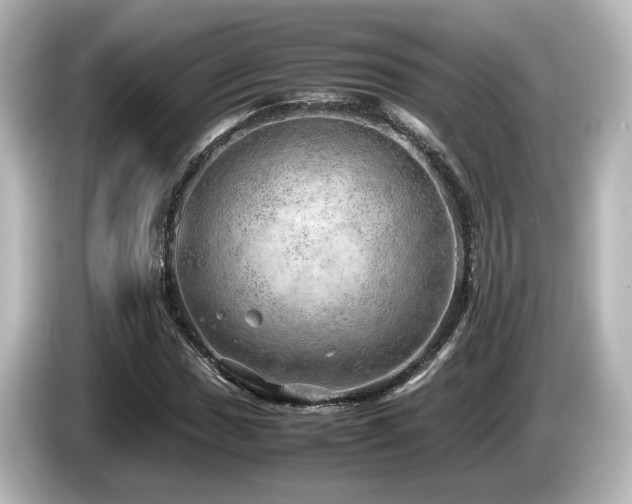 X0000085741017200703161023