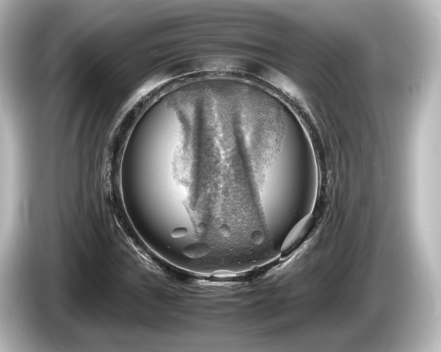 X0000085741019200703161023