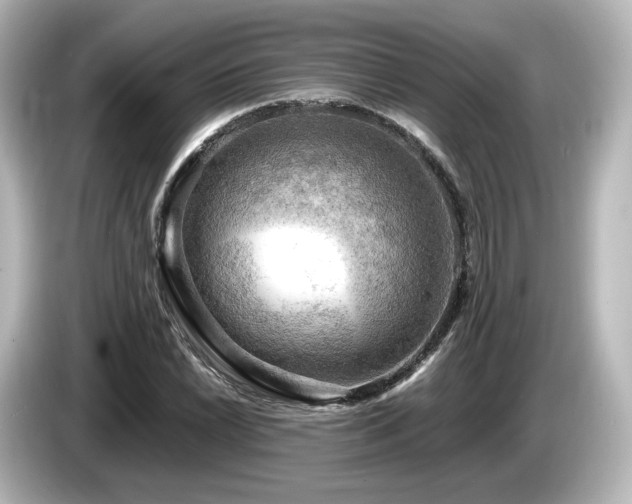 X0000085741022200703161023