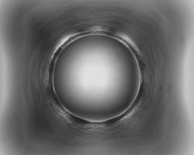 X0000085741023200703161023