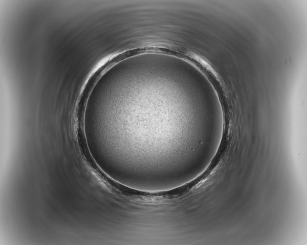 X0000085741024200703161023