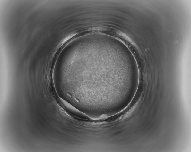 X0000085741025200703161023